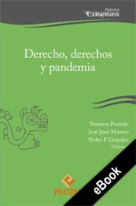 Pozzolo / Moreso / Grández |  Derecho, derechos y pandemia | eBook | Sack Fachmedien