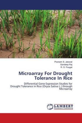 Jaiswal / Raj / Fougat |  Microarray For Drought Tolerance In Rice | Buch |  Sack Fachmedien