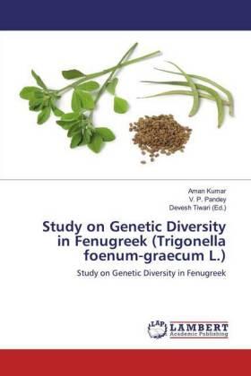 Kumar / Pandey / Tiwari |  Study on Genetic Diversity in Fenugreek (Trigonella foenum-graecum L.) | Buch |  Sack Fachmedien