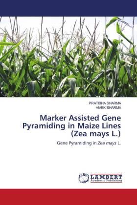 Sharma |  Marker Assisted Gene Pyramiding in Maize Lines (Zea mays L.) | Buch |  Sack Fachmedien