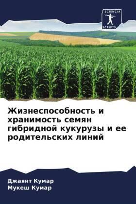 Kumar |  Zhiznesposobnost' i hranimost' semqn gibridnoj kukuruzy i ee roditel'skih linij | Buch |  Sack Fachmedien