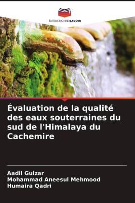 Gulzar / Mehmood / Qadri |  Évaluation de la qualité des eaux souterraines du sud de l'Himalaya du Cachemire | Buch |  Sack Fachmedien