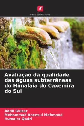 Gulzar / Mehmood / Qadri |  Avaliação da qualidade das águas subterrâneas do Himalaia do Caxemira do Sul | Buch |  Sack Fachmedien