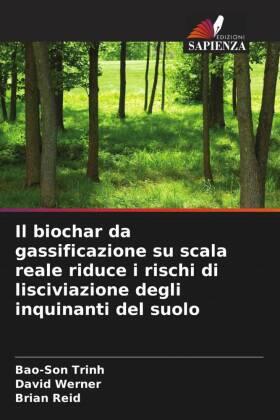 Trinh / Werner / Reid |  Il biochar da gassificazione su scala reale riduce i rischi di lisciviazione degli inquinanti del suolo | Buch |  Sack Fachmedien