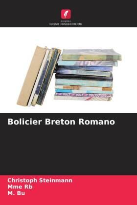 Steinmann / Rb / Bu |  Bolicier Breton Romano | Buch |  Sack Fachmedien