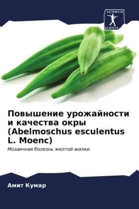Kumar |  Powyshenie urozhajnosti i kachestwa okry (Abelmoschus esculentus L. Moenc) | Buch |  Sack Fachmedien