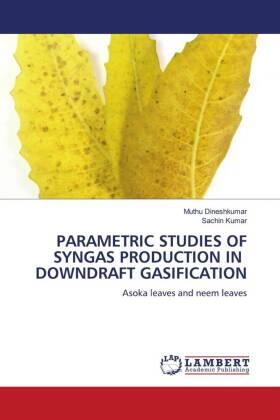 Dineshkumar / Kumar |  PARAMETRIC STUDIES OF SYNGAS PRODUCTION IN DOWNDRAFT GASIFICATION | Buch |  Sack Fachmedien