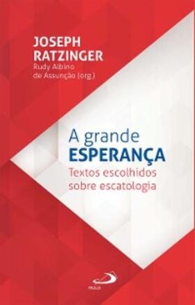 Ratzinger / Assunção |  A grande esperança | eBook | Sack Fachmedien