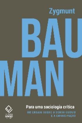 Bauman |  Para uma sociologia crítica: O estádio como ritual de intensidade | eBook | Sack Fachmedien