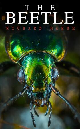 Marsh |  The Beetle | eBook | Sack Fachmedien