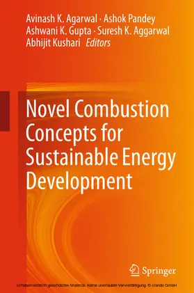 Agarwal / Pandey / Gupta |  Novel Combustion Concepts for Sustainable Energy Development | eBook | Sack Fachmedien