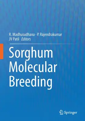 Madhusudhana / Patil / Rajendrakumar |  Sorghum Molecular Breeding | Buch |  Sack Fachmedien