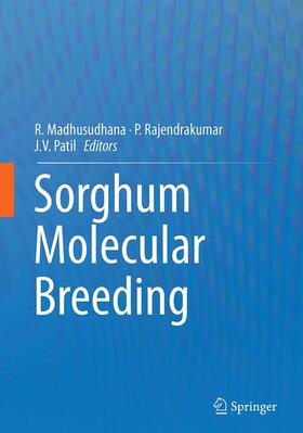 Madhusudhana / Patil / Rajendrakumar |  Sorghum Molecular Breeding | Buch |  Sack Fachmedien