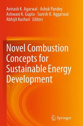 Agarwal / Pandey / Kushari |  Novel Combustion Concepts for Sustainable Energy Development | Buch |  Sack Fachmedien