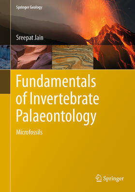 Jain |  Fundamentals of Invertebrate Palaeontology | eBook | Sack Fachmedien