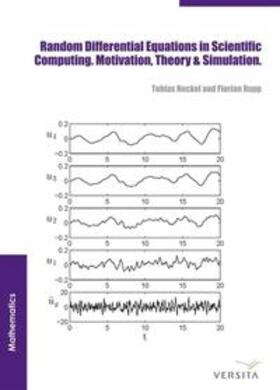 Rupp / Neckel |  Random Differential Equations in Scientific Computing | Buch |  Sack Fachmedien