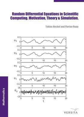 Neckel / Rupp |  Random Differential Equations in Scientific Computing | eBook | Sack Fachmedien