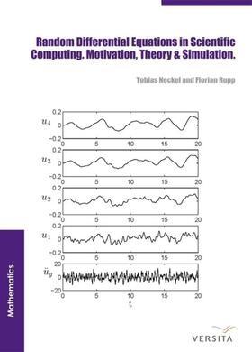 Neckel / Rupp |  Random Differential Equations in Scientific Computing | eBook |  Sack Fachmedien