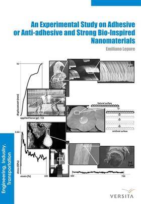 Pugno / Lepore |  An Experimental Study on Adhesive or Anti-adhesive, Bio-inspired Experimental Nanomaterials | Buch |  Sack Fachmedien