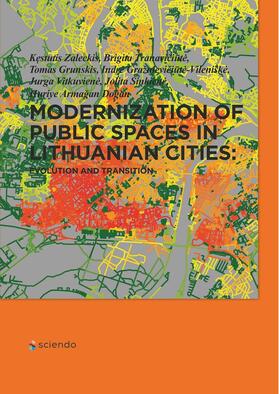 Zaleckis / Tranaviciute / Tranavi?i?t? |  Modernization of Public Spaces in Lithuanian Cities | eBook |  Sack Fachmedien