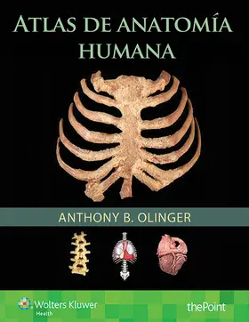 Olinger |  Atlas de anatomia humana | Buch |  Sack Fachmedien