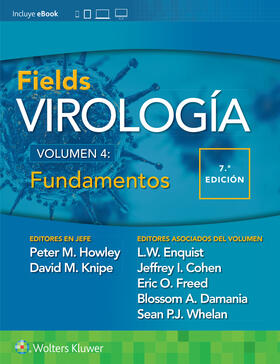 Knipe / Howley / Enquist |  Fields. Virologia. Volumen IV. Fundamentos | Buch |  Sack Fachmedien