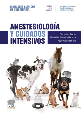 Al |  Anestesiología y cuidados intensivos | eBook | Sack Fachmedien