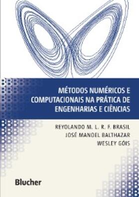 Brasil / Balthazar / Góis |  Métodos numéricos e computacionais na prática de engenharias e ciências | eBook | Sack Fachmedien