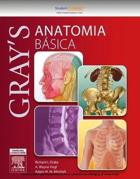 Drake |  Gray Anatomia Básica | eBook | Sack Fachmedien