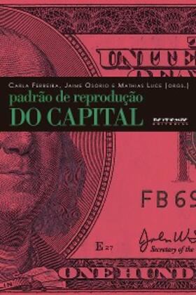 Ferreira / Osório / Luce |  Padrão de reprodução do capital | eBook | Sack Fachmedien