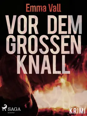 Vall |  Vor dem großen Knall | eBook | Sack Fachmedien