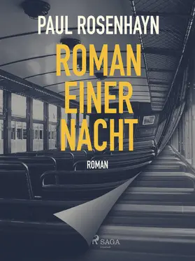 Rosenhayn |  Roman einer Nacht | eBook | Sack Fachmedien