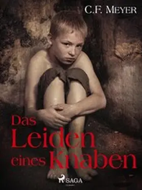 Meyer |  Das Leiden eines Knaben | eBook | Sack Fachmedien