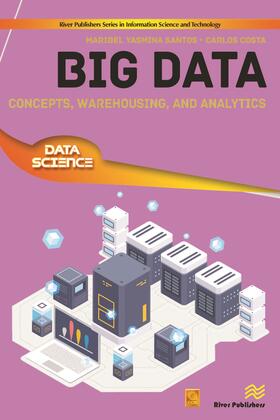 Santos / Costa |  Big Data | Buch |  Sack Fachmedien