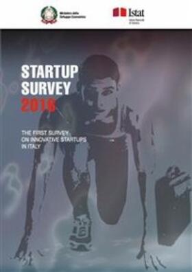 Istat | Startup survey 2016 | E-Book | sack.de