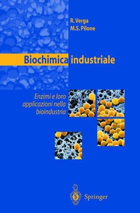 Pilone / Verga |  Biochimica industriale | Buch |  Sack Fachmedien