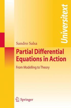 Salsa |  Partial Differential Equations in Action | Buch |  Sack Fachmedien