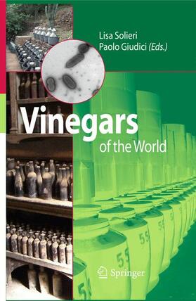 Giudici / Solieri |  Vinegars of the World | Buch |  Sack Fachmedien