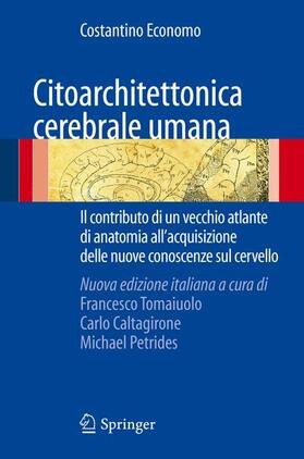 Tomaiuolo / Petrides / Caltagirone |  Citoarchitettonica cerebrale umana | Buch |  Sack Fachmedien