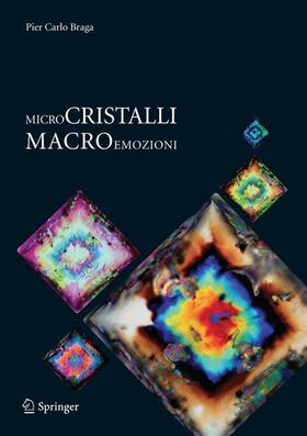 Braga |  Microcristalli-macroemozioni | Buch |  Sack Fachmedien
