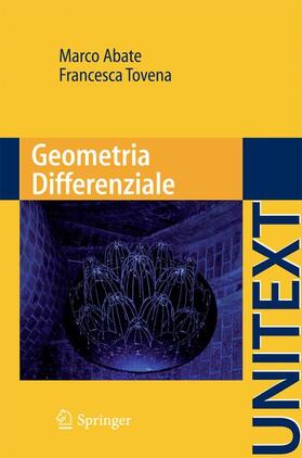 Tovena / Abate |  Geometria Differenziale | Buch |  Sack Fachmedien