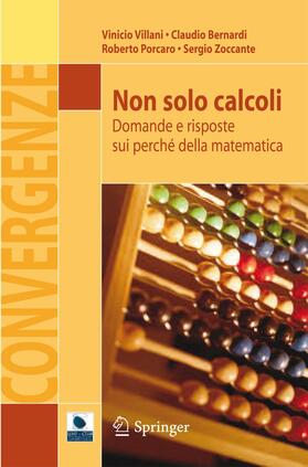 Villani / Zoccante / Bernardi |  Non solo calcoli | Buch |  Sack Fachmedien