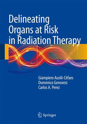 Ausili Cèfaro / Perez / Genovesi |  Delineating Organs at Risk in Radiation Therapy | Buch |  Sack Fachmedien