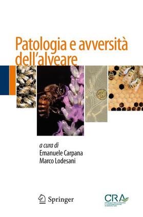 Lodesani / Carpana |  Patologia e avversità dell¿alveare | Buch |  Sack Fachmedien