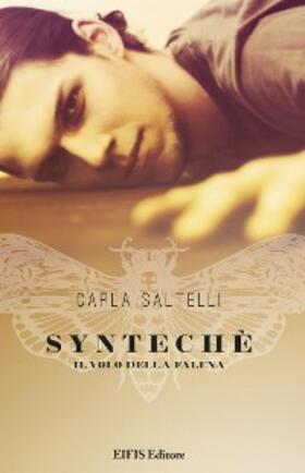 Saltelli |  Syntechè | eBook | Sack Fachmedien