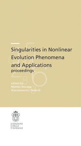 Novaga / Orlandi |  Singularities in Nonlinear Evolution Phenomena and Applications | Buch |  Sack Fachmedien