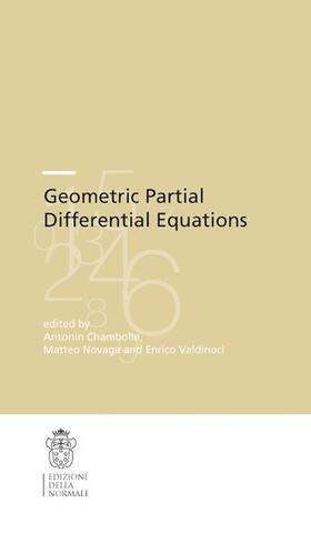 Chambolle / Novaga / Valdinoci |  Geometric Partial Differential Equations | Buch |  Sack Fachmedien