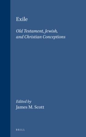 Chilton / Porton / Feldman |  Exile: Old Testament, Jewish, and Christian Conceptions | Buch |  Sack Fachmedien