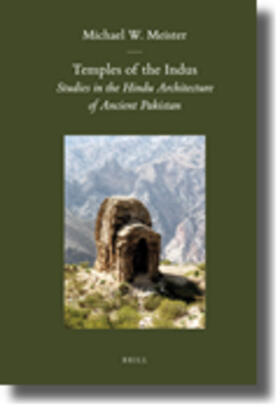 Meister |  Temples of the Indus | Buch |  Sack Fachmedien