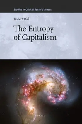 Biel |  The Entropy of Capitalism | Buch |  Sack Fachmedien